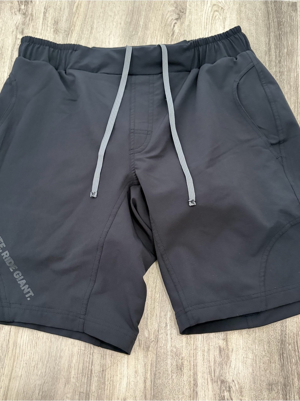 Giant Mountain Bike Padded Cycling Shorts L Men Black Lined EUC